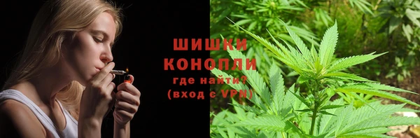 шишки Алексин