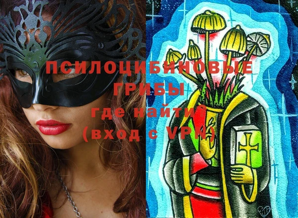 шишки Алексин