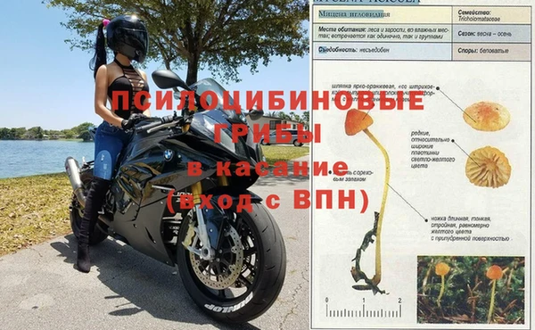 соль ск Абдулино