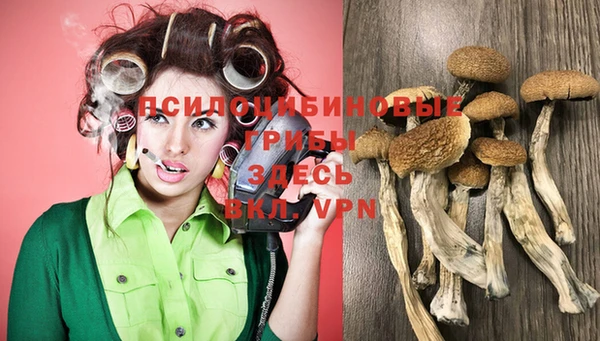 шишки Алексин